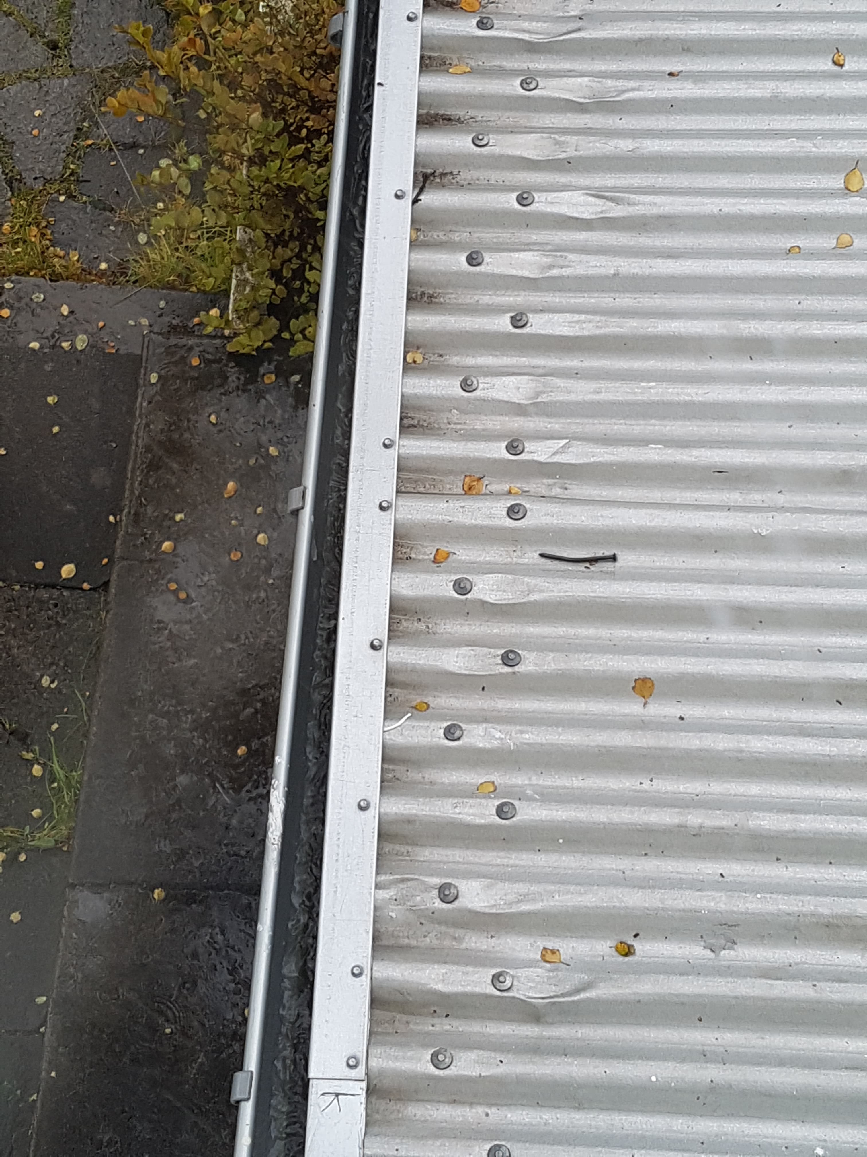 Stíflaðar þakrennur fullar af laufi